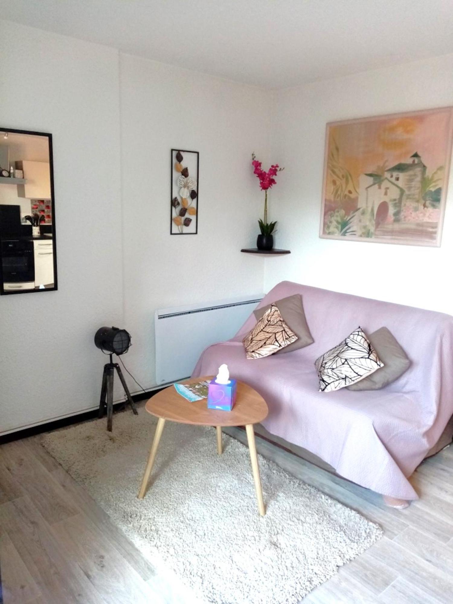 Cabourg Agreable T2 Residence Calme - Terrasse 20M2 - Animaux Bienvenus Eksteriør billede